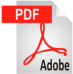 PDF