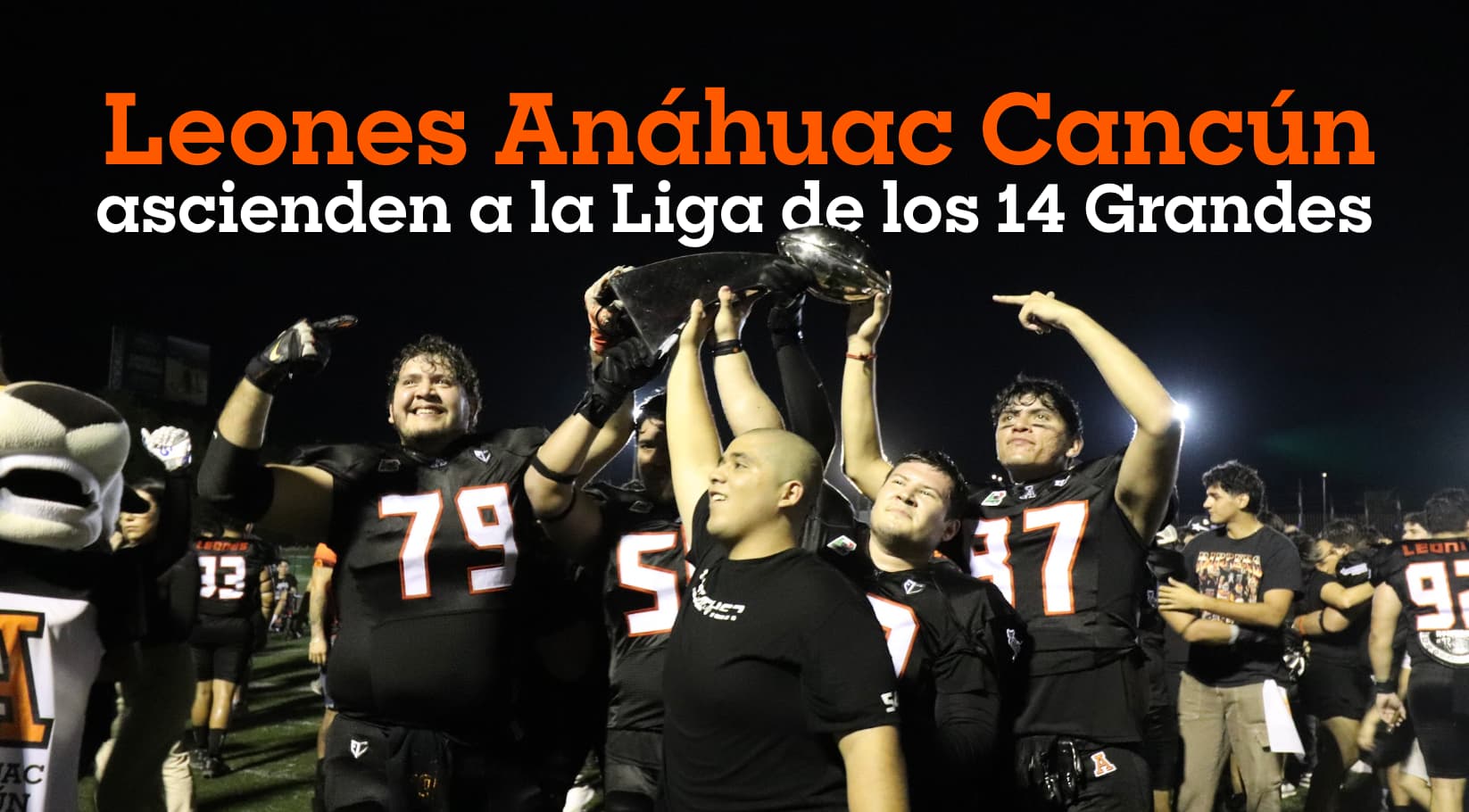 Liga de los 14 Grandes