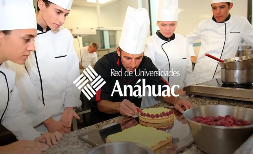 ¿Qué hace un chef? Descubre lo que aprenderás en Gastronomía