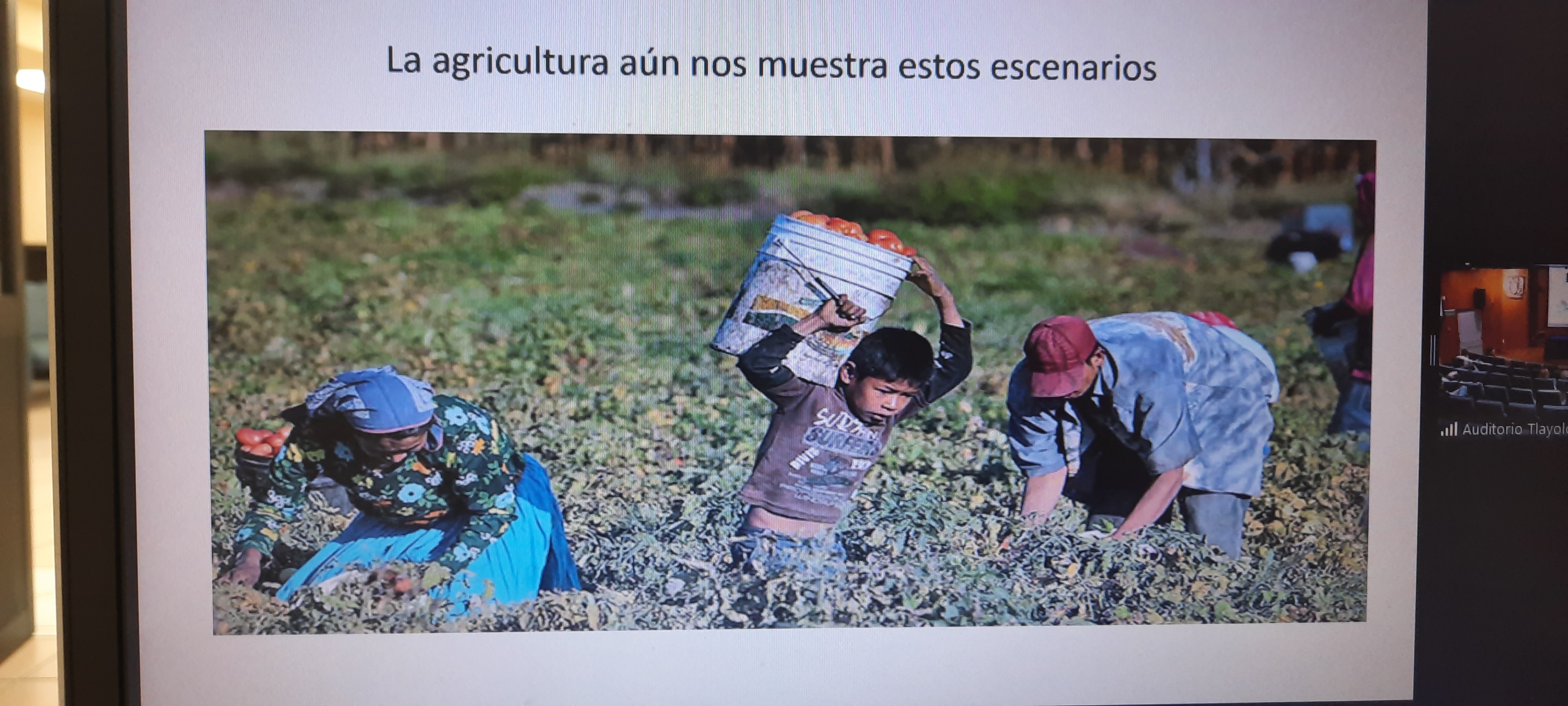 Captura de la presentación