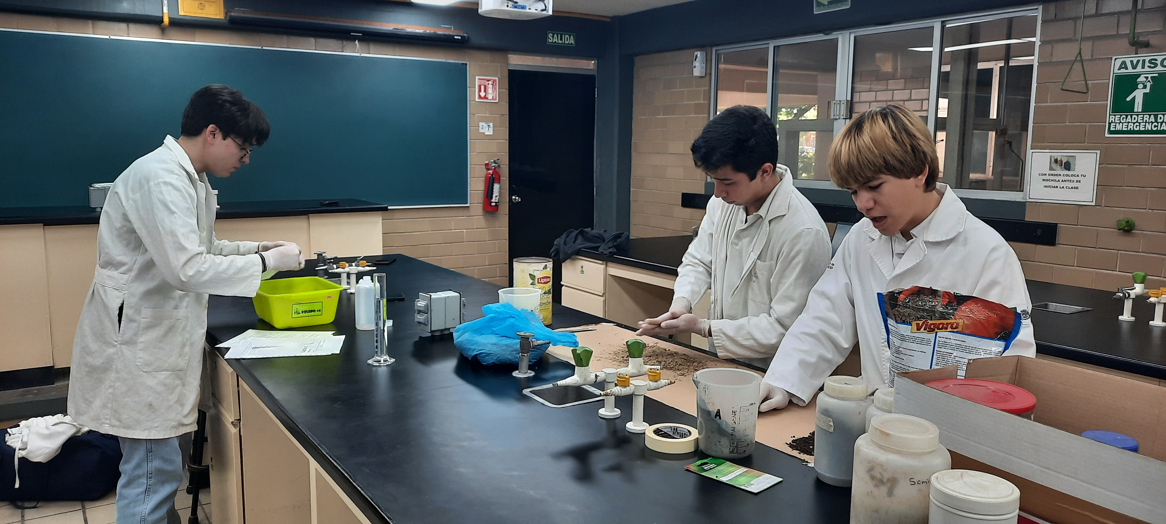 Alumnos trabajando sobre el proyecto