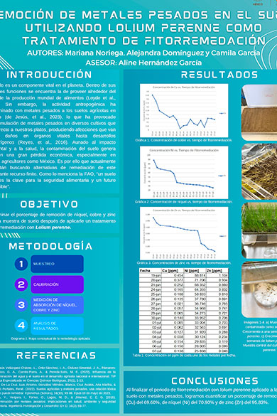 Primer premio XIV Concurso, Licenciatura