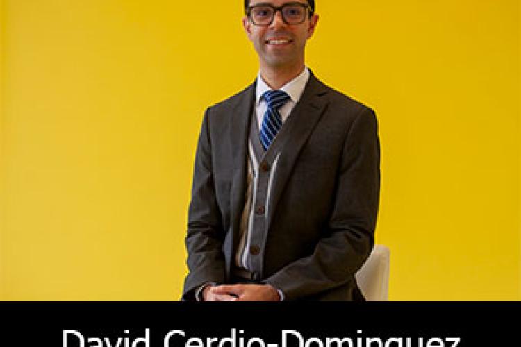 David Cerdio-Domínguez 