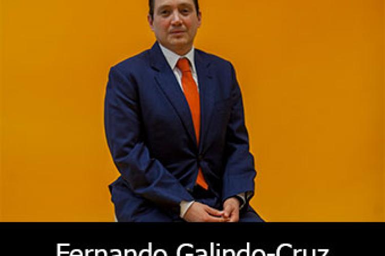 Fernando Galindo-Cruz 