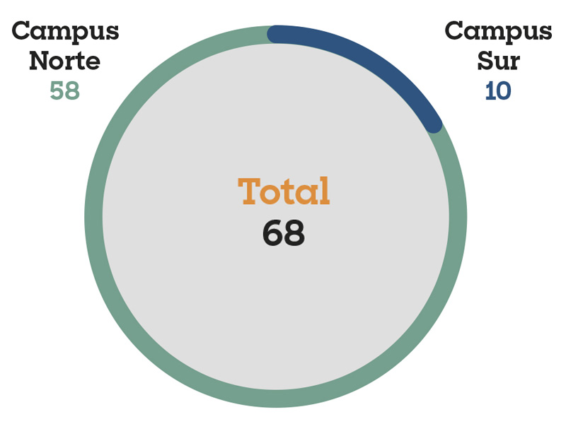 Casos por campus