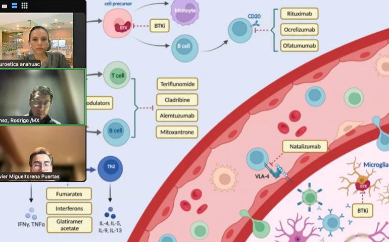 New therapeutic approaches and bioethical reflections on Multiple Sclerosis in Food for the Brain