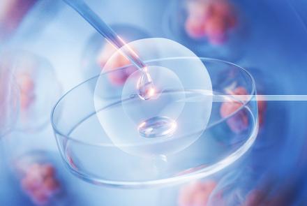 Éxito en reproducción asistida