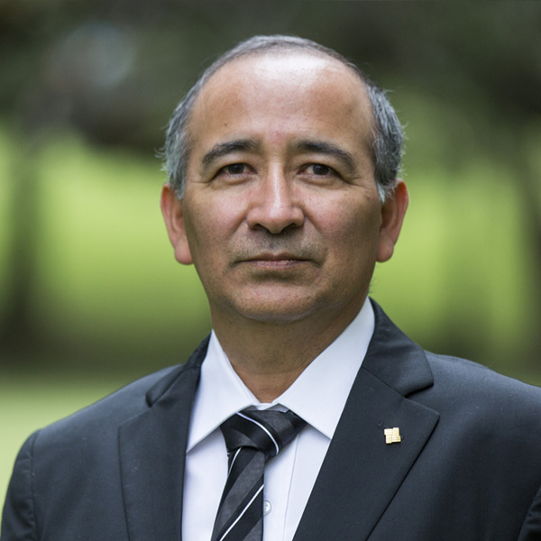 Dr. Victor Ibarra Mercado