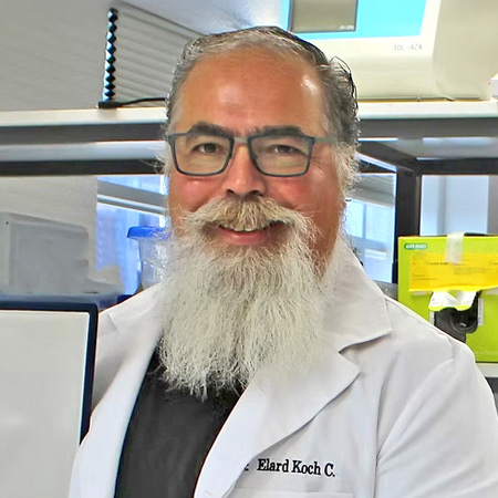 Prof. Elard Koch PhD