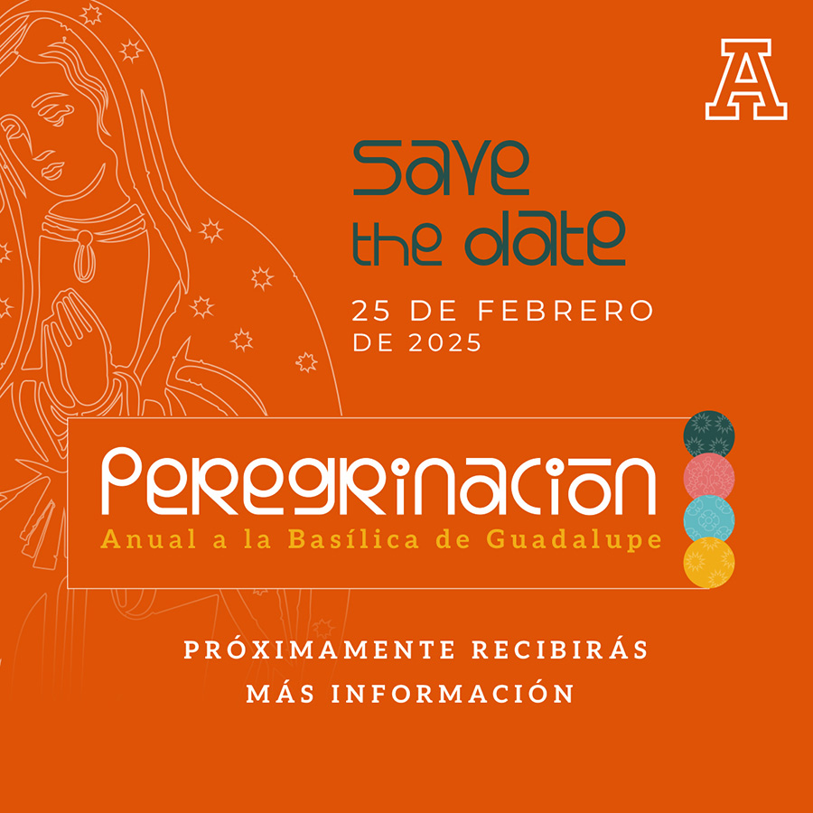 Peregrinación