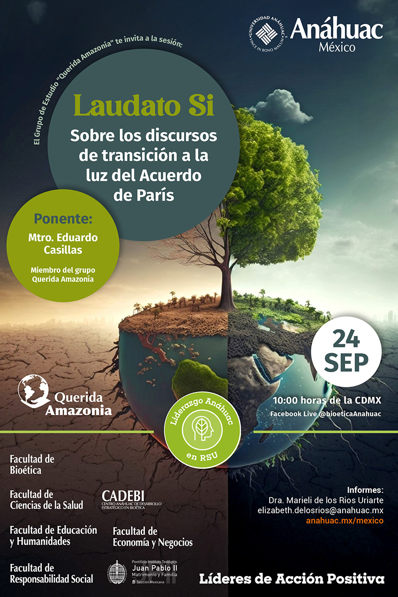 Querida Amazonia