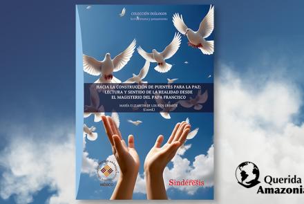 El grupo de Querida Amazonía publica libro sobre el magisterio del Papa Francisco
