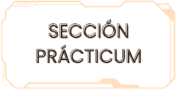 Sección prácticum