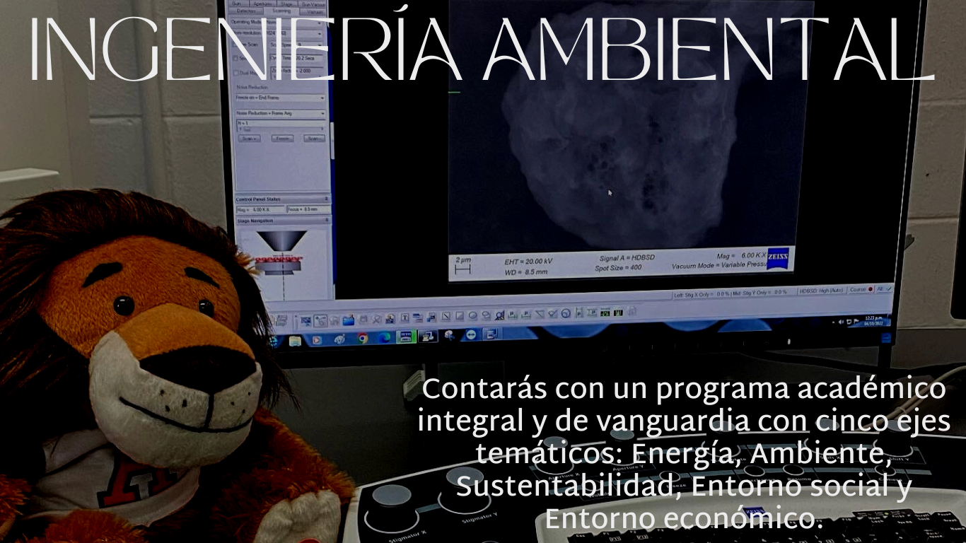 ingenieriaambiental