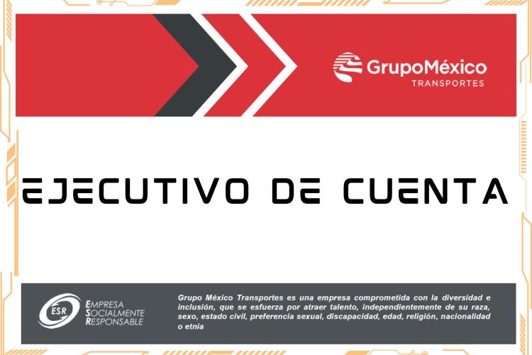 GRUPO MEXICO TRANSPORTES FERROMEX | Ejecutivo de venta