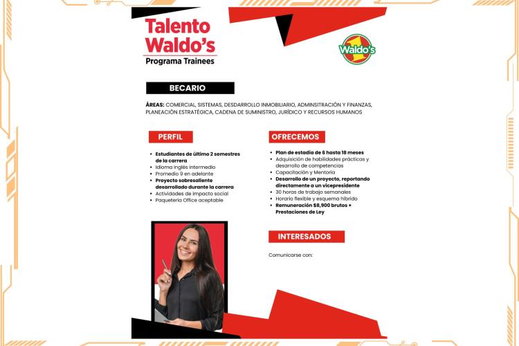 WALDO'S | Programa de Trainees