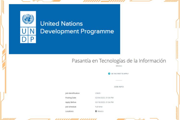 UNDP | Pasantía en Tecnologías de la Información