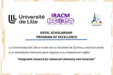 Master "Integrated research for advanced chemistry and materials" + beca EIFFEL 2026 para estudiantes 