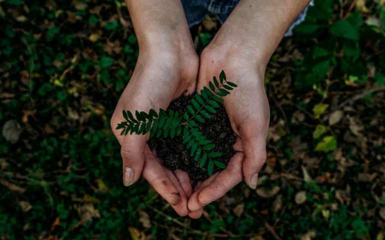 Alumnos de Responsabilidad Social aprenden sobre la conservación del medioambiente y el desarrollo social en Temoaya, Estado de México 