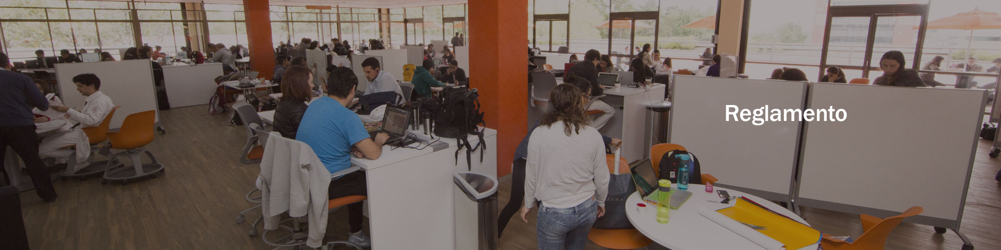Reglamento Biblioteca