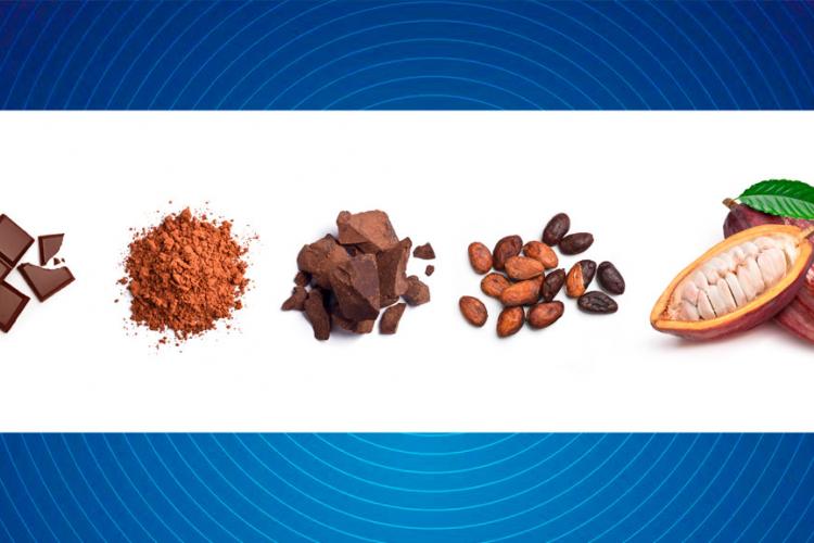 Aplicaciones potenciales del cacao en la neuropatía diabética 