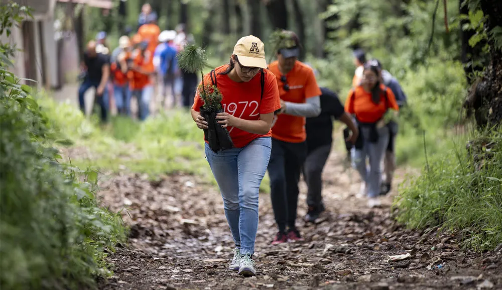 Voluntarios participan en la Reforestación Anáhuac 2024