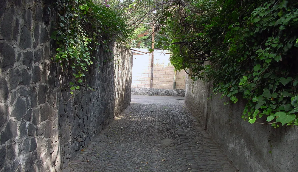 En Coyoacán a la historia se llega por callejones