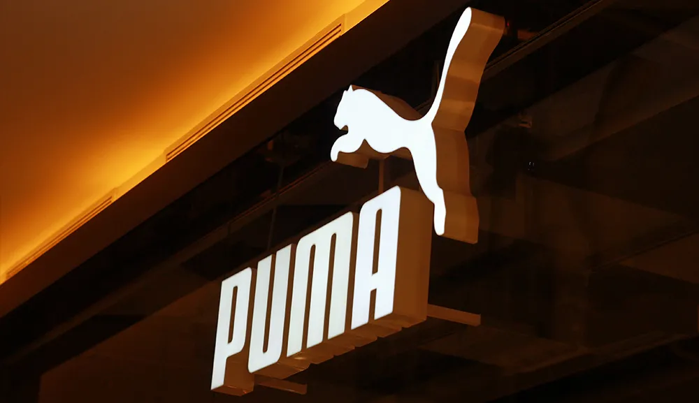 Empresa 2025 puma mexico