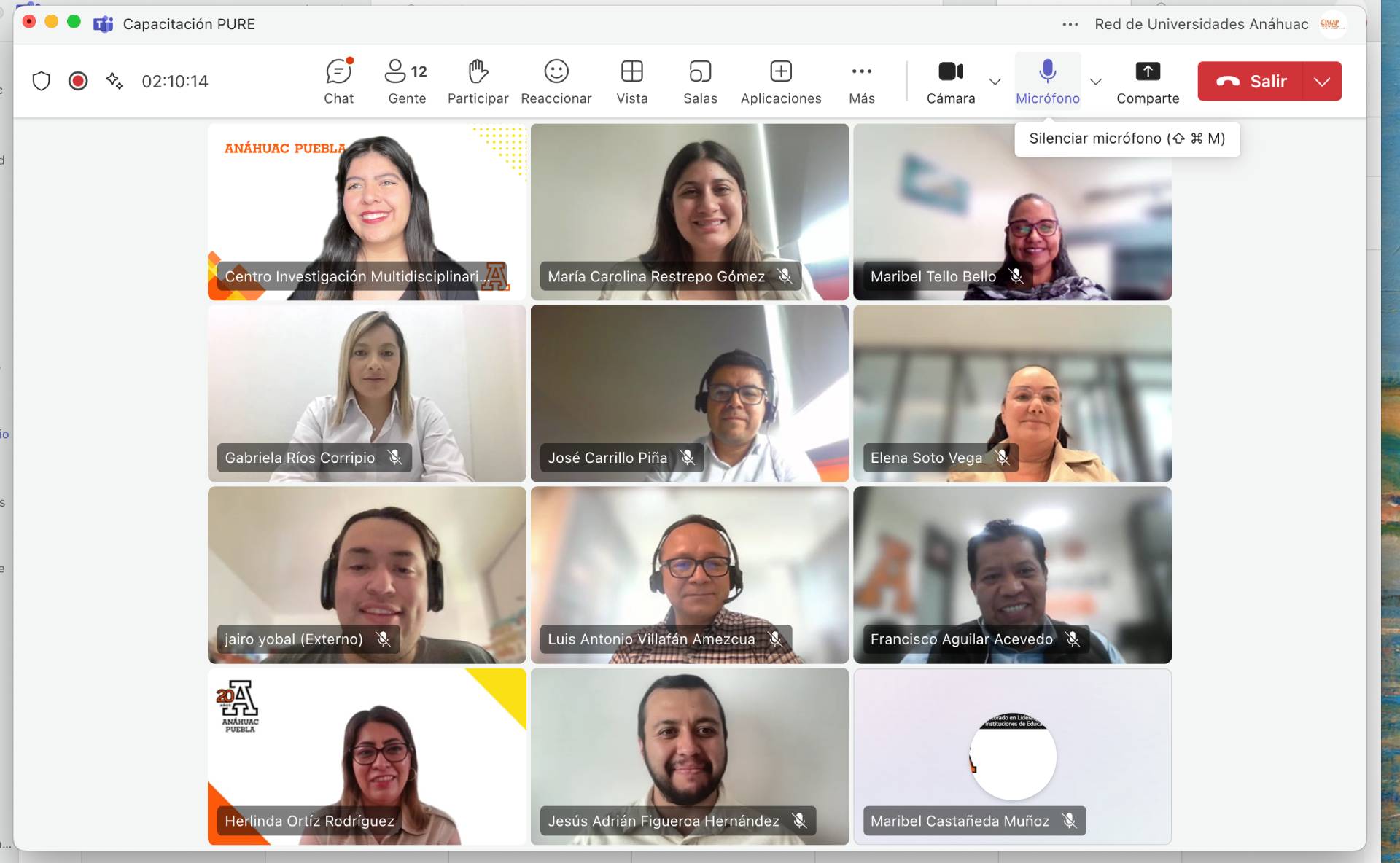 El Centro de Investigación Anáhuac Puebla realiza a través de INVESTIGA PRO, su curso en PURE