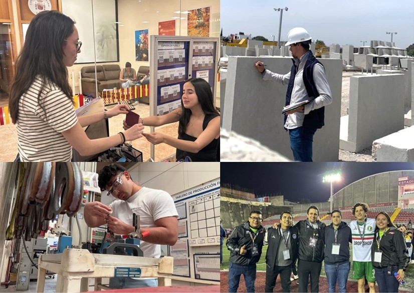 PRÁCTICAS PROFESIONALES