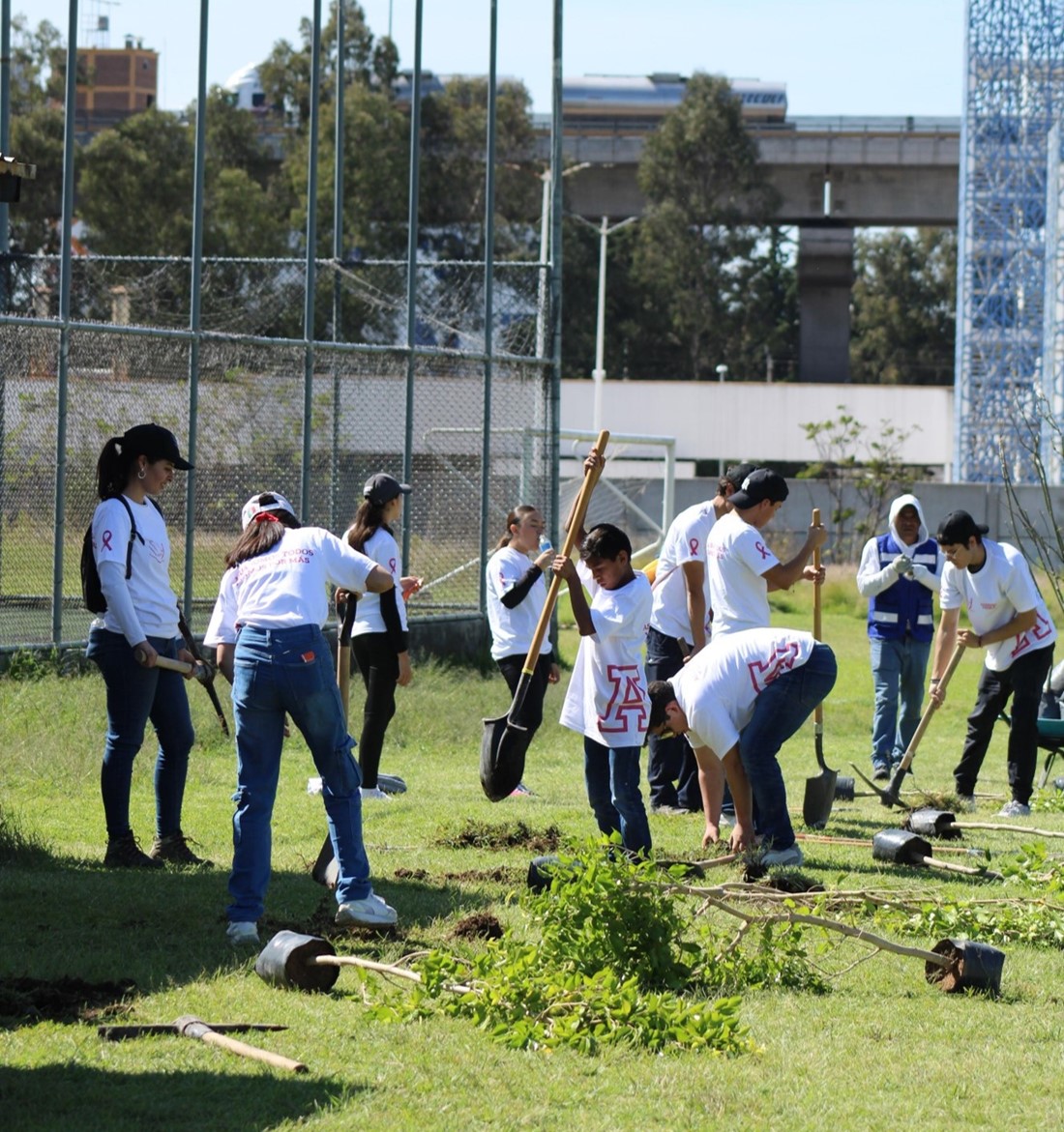 reforestación Anáhuac