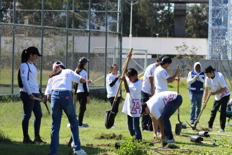 reforestación Anáhuac