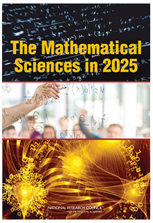The Mathematical Sciences in 2025