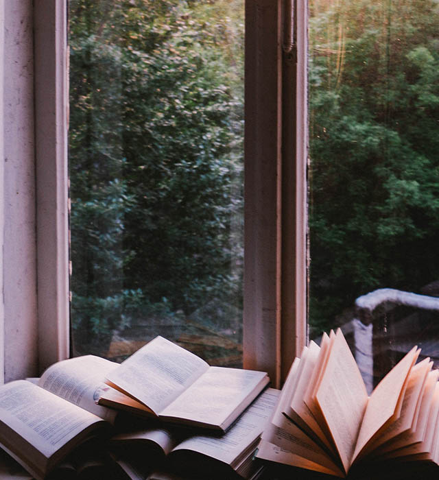 Adquisiciones de Biblioteca en Octubre de 2019