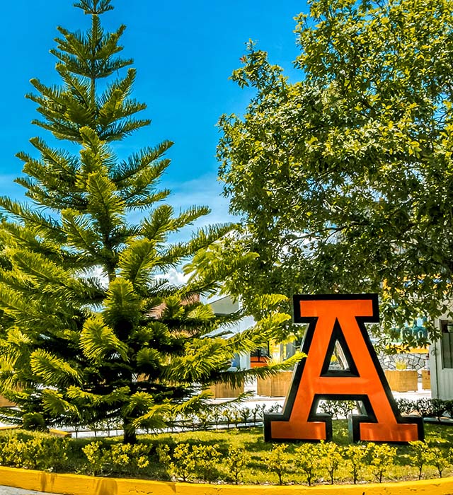 Servicios Universitarios