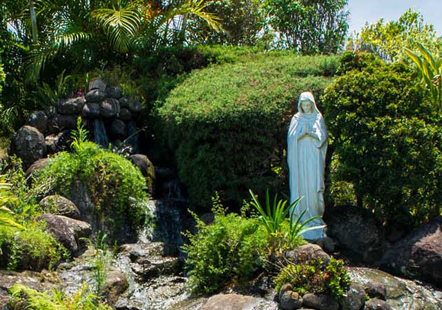 Publicaciones Académicas