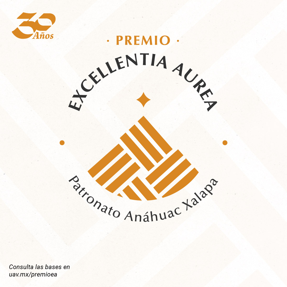 Premio Excellentia Aurea: Convocatoria