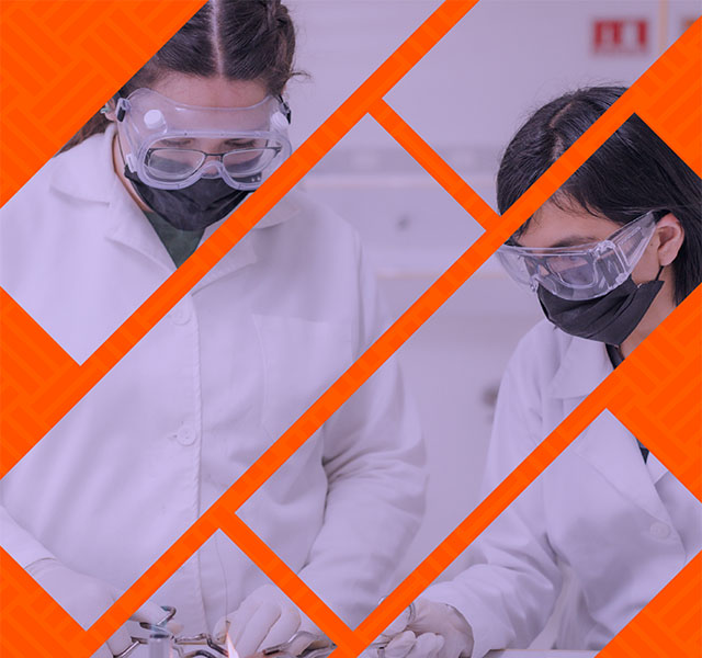 Asesoría y Proyectos de Ingeniería en Energías Renovables