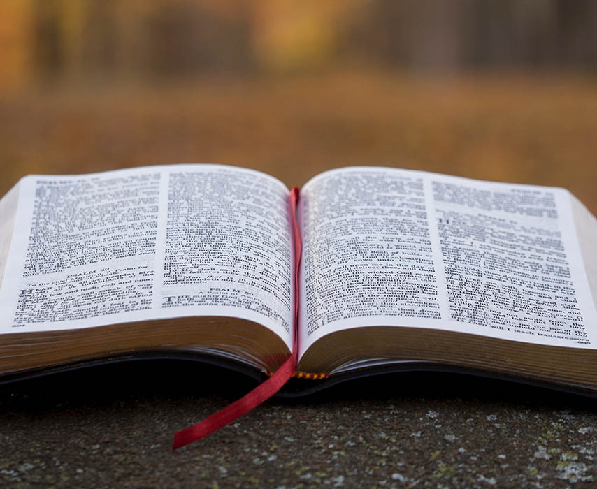 Adquisiciones de Biblioteca en Noviembre 2023