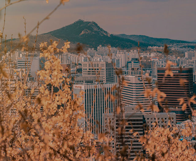 Internacionalización