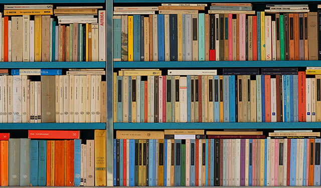 Adquisiciones de Biblioteca en Mayo 2024