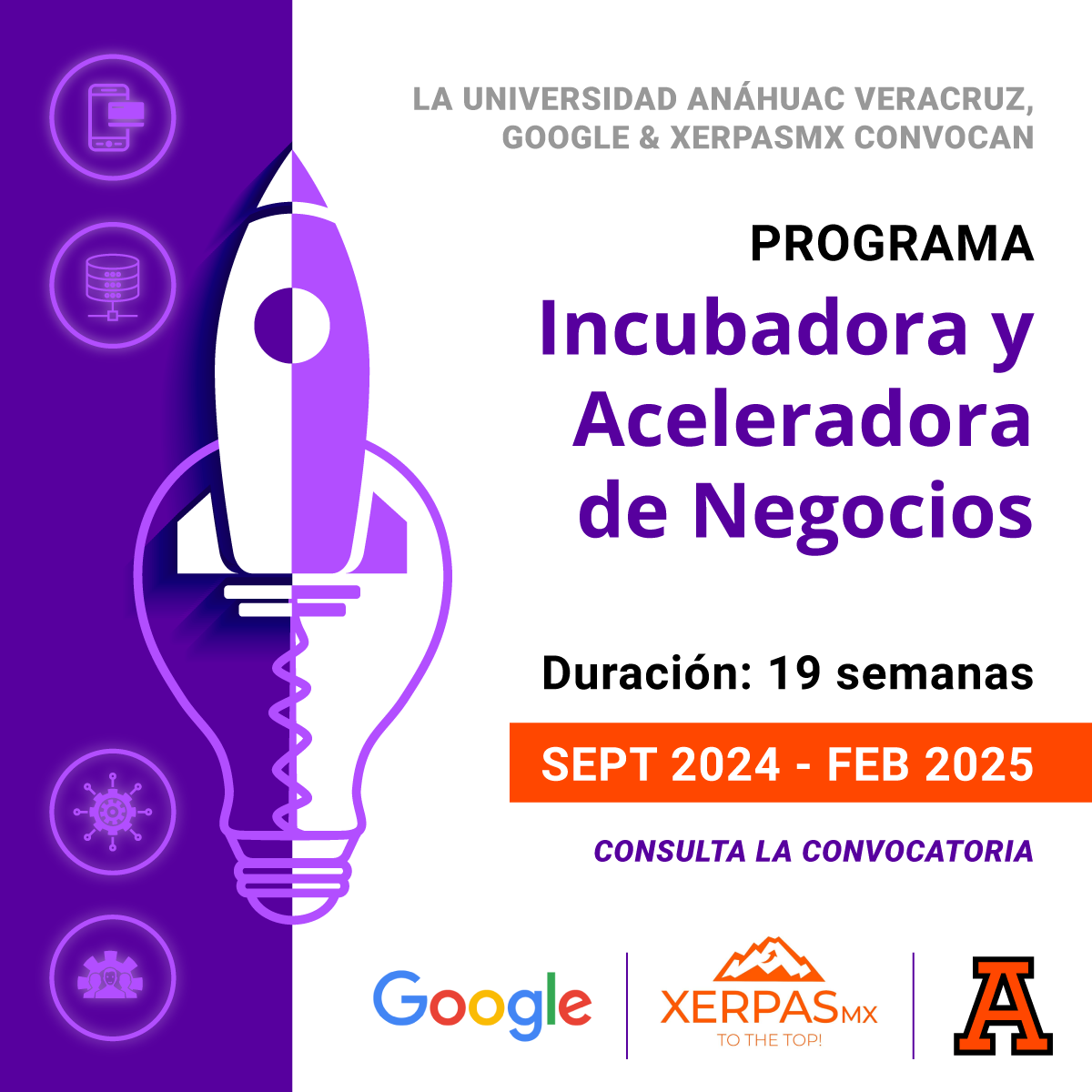 Programa Incubadora y Aceleradora de Negocios