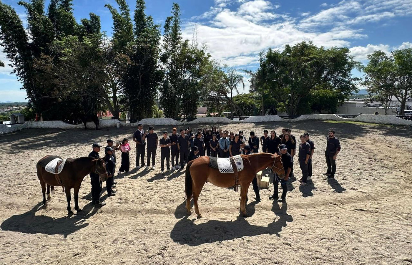 1 / 10 - Alumnos de Fisioterapia y Rehabilitación Asisten a una Demostración de Equinoterapia