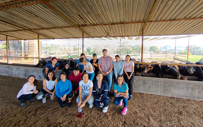 1 / 7 - Experiencia Práctica en el Rancho Ganadero Los Framboyanes