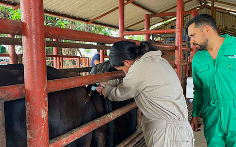 6 / 7 - Experiencia Práctica en el Rancho Ganadero Los Framboyanes