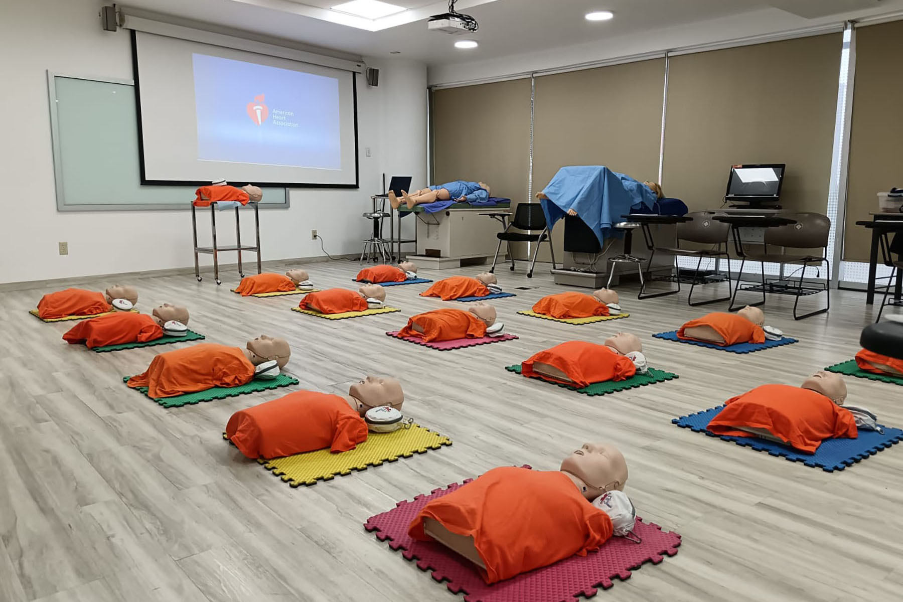 4 / 8 - Curso de Certificación Basic Life Support y Advanced Cardiovascular Life Support