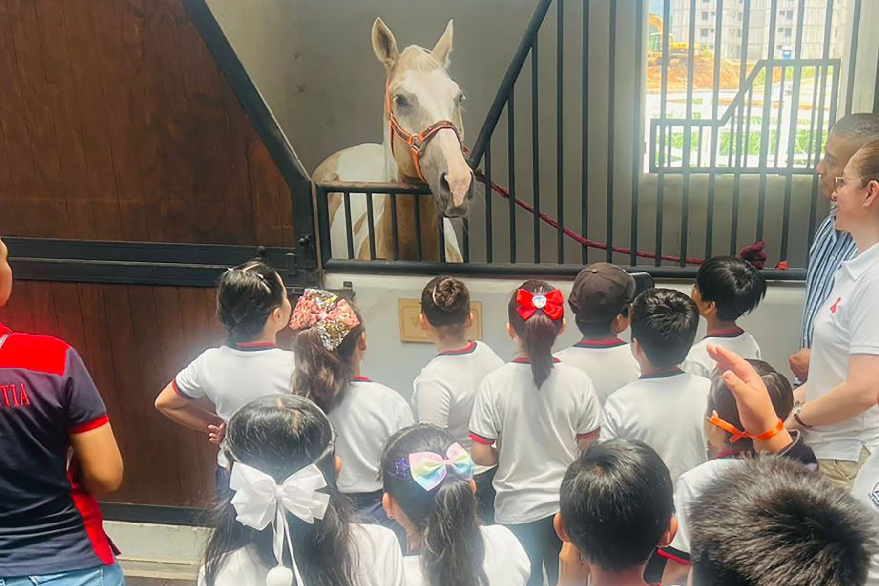13 / 16 - La Escuela de Medicina Celebró la 3.ª Feria Binacional: Cuidando mi Salud Desde Pequeño