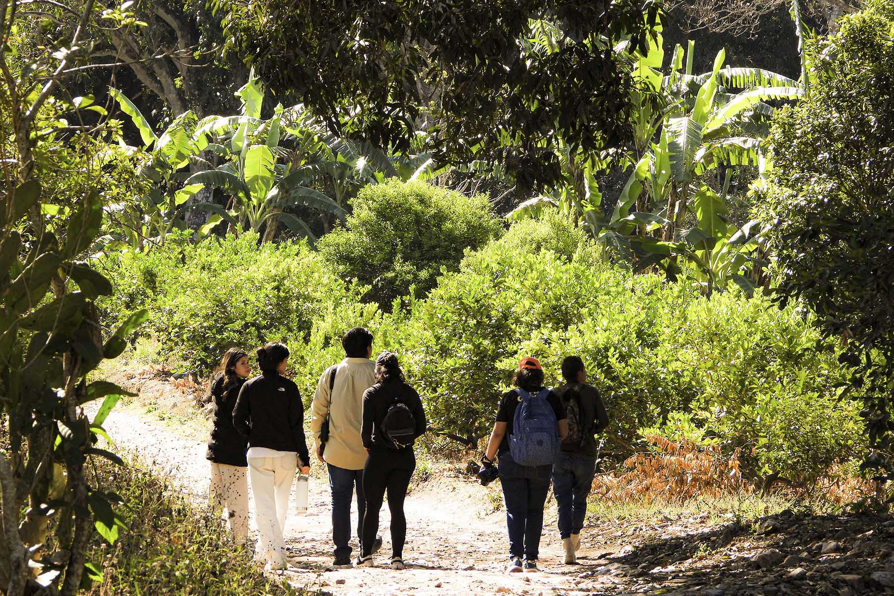 4 / 8 - Explorando Experiencias de Turismo Sustentable 4 / 8 - Explorando Experiencias de Turismo Sustentable