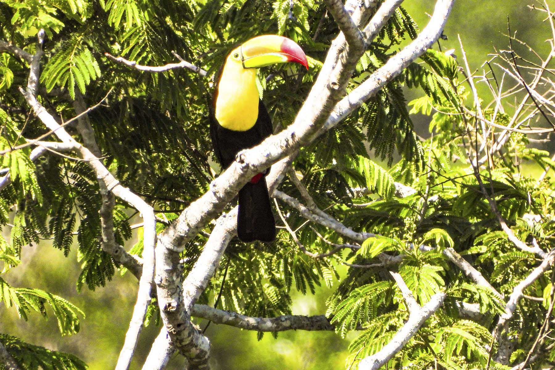 7 / 8 - Explorando Experiencias de Turismo Sustentable 7 / 8 - Explorando Experiencias de Turismo Sustentable
