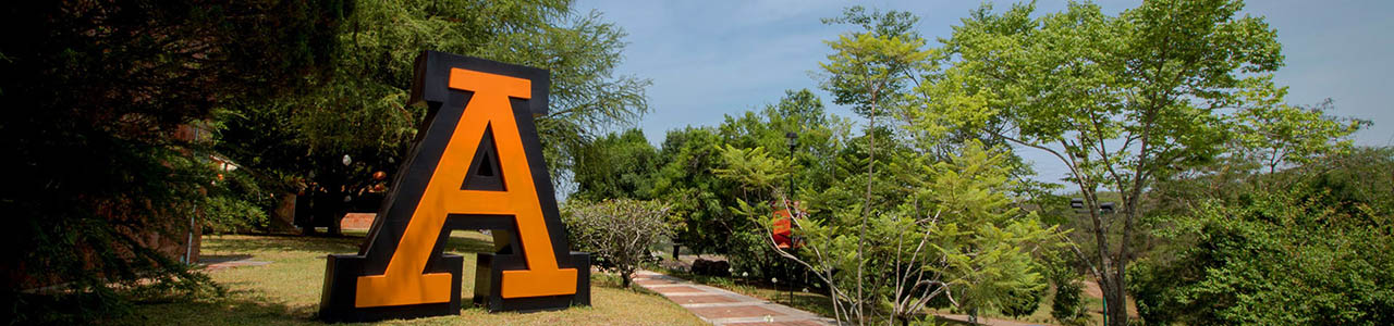 Noticias de Servicios